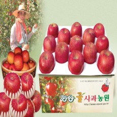 [청송꿀사과농원] 청송사과 가을부사 8kg(25-26과)선물용