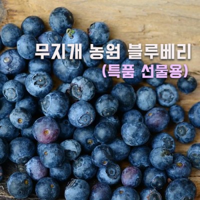 [무지개농원] 무농약 블루베리- 선물용 특품(17mm이상) kg당 27000원