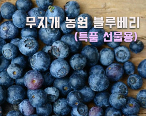 [무지개농원] 무농약 블루베리- 선물용 왕특품(20mm이상) kg당 29000원