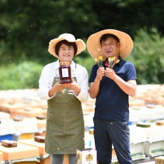 [파천 농산] 신나무(고로쇠)꿀 2.4kg 가림양봉