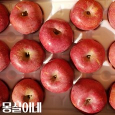 [흠과]사과(후지)10kg내외 중간크기 중량으로 배송 (김해수)