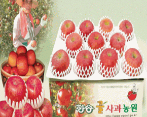 [청송꿀사과농원사과]청송사과 가을부사4kg(10-12과) 제과,선물용