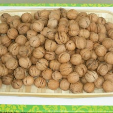 [백석탄농원] [친환경재배] 토종호두 2kg (크기혼합)