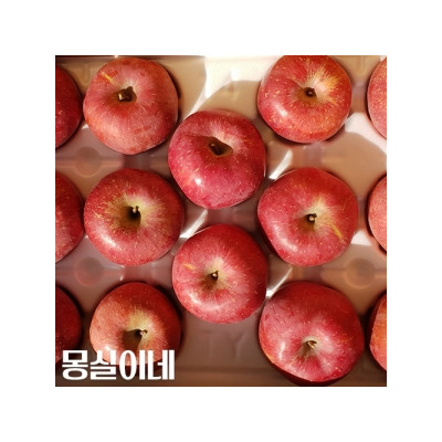 [몽실이네청송사과]사과(후지)10kg내외 34-36과 (김해수)